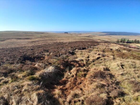 20260303 105231 T202603071000.jpg