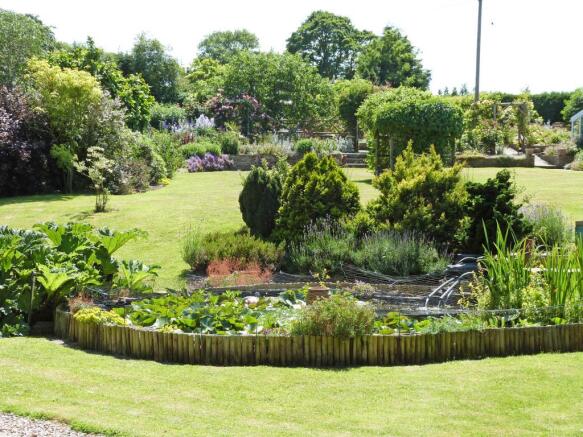 Pond
