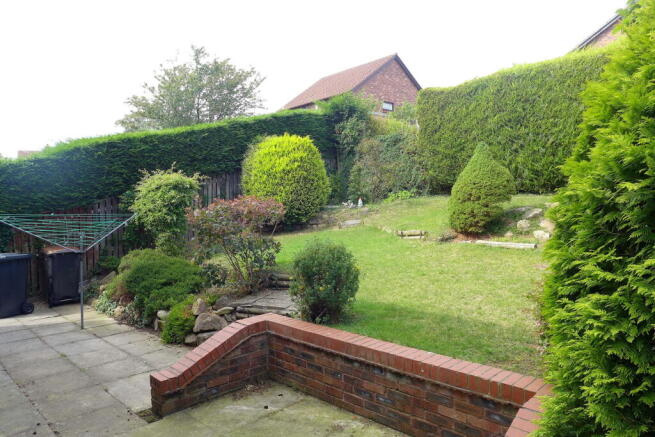 Photo 15