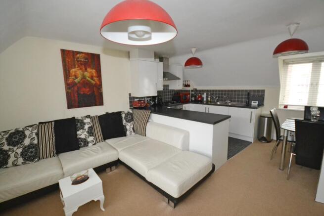 Open Plan Kitchen and Living Area