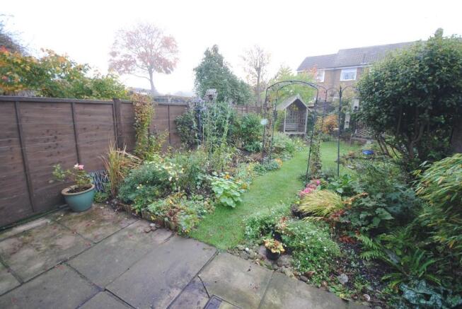 Photo 11