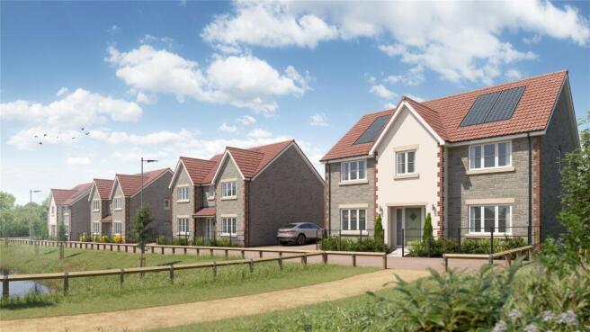 Orchard Meadows