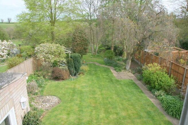 Garden from Window