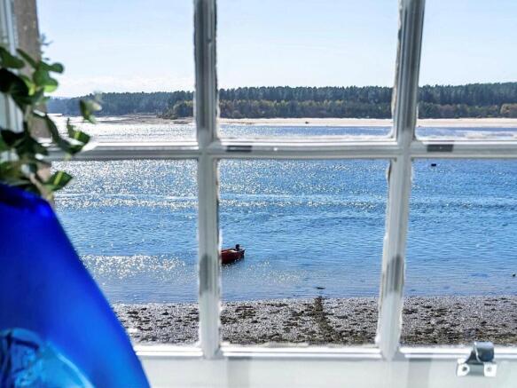 Window