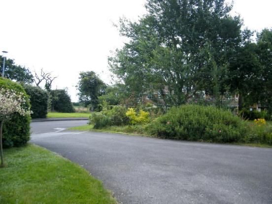 View Of Driveway