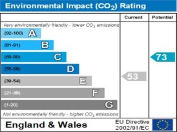 ENVIRONMENTAL IMPACT