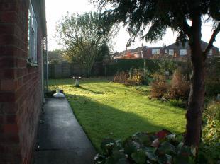 Large Garden