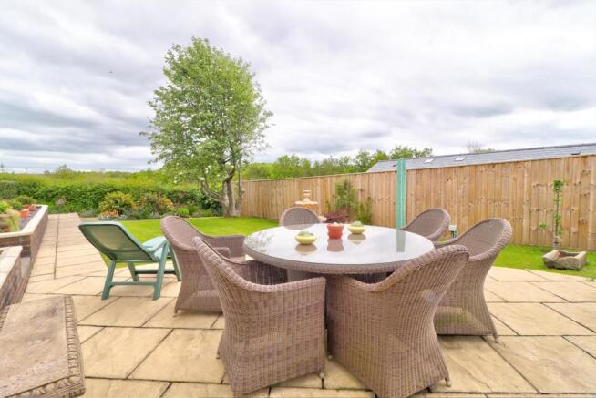 Rear patio area.jpg