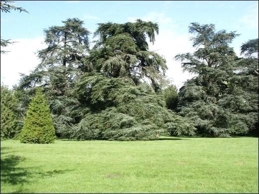 Picture No. 02