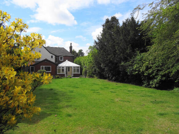 Rear Gardens