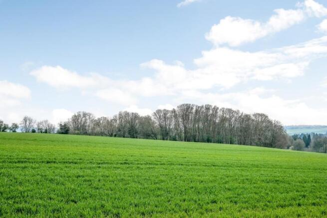 View of open fields