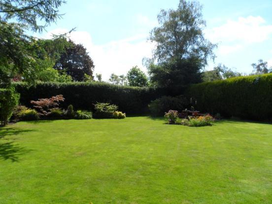Garden One