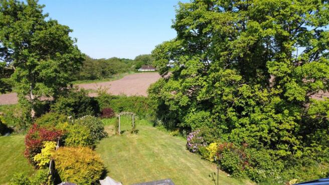 Pine Dale Rear Garden