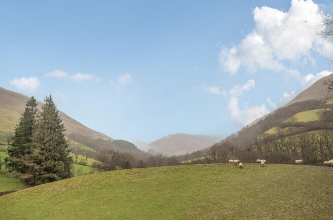 1407155-15-6985f6...