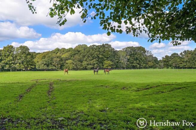 sketch_Ph18_6221772 - Copy.jpg