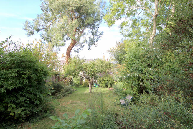 Photo 28
