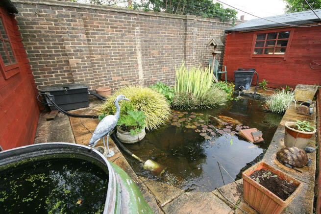 Pond