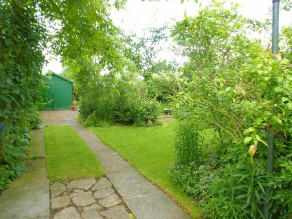 Photo 5
