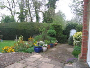 Patio Area