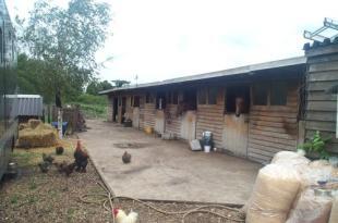 Stables