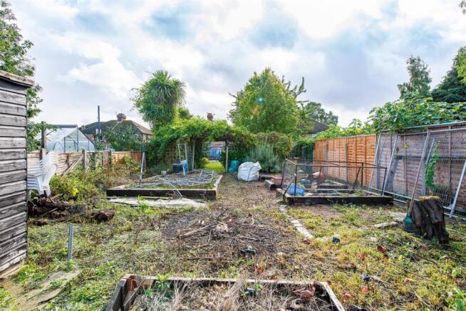 Borden Lane garden7.jpg