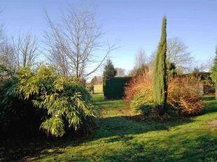 garden 3