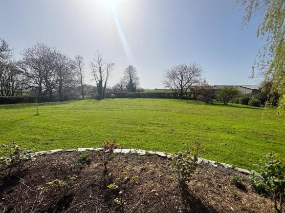 garden 2.jpg