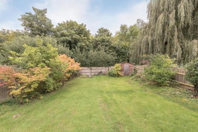 garden3