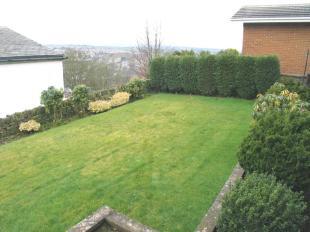 Back Garden