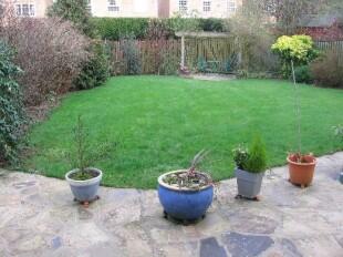 Rear garden