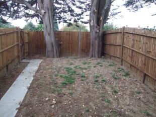 Rear garden