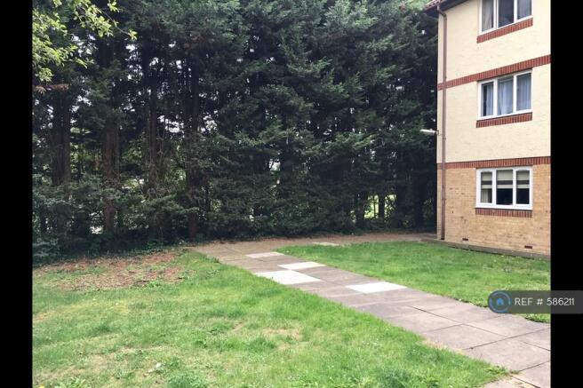 Shared Garden