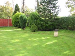 Garden 2