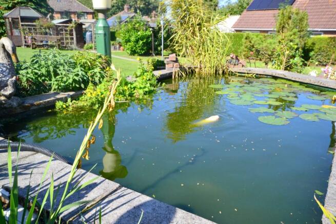 POND