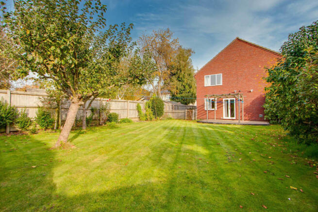 Back Garden 2
