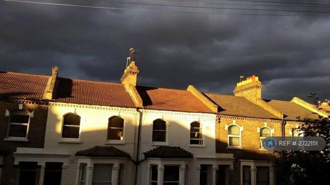 Catches Evening Sun.