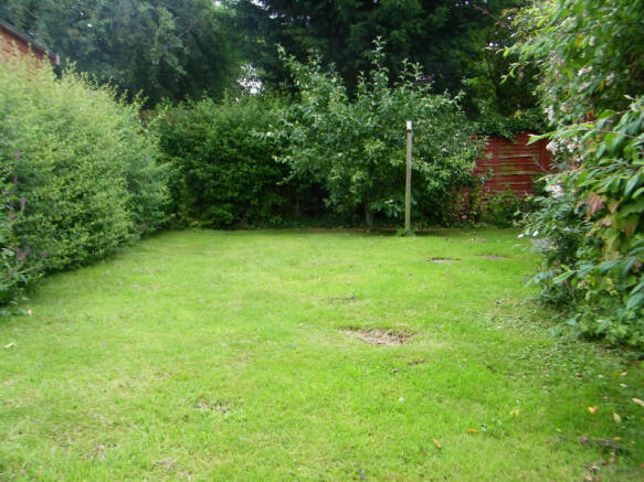 Picture 2