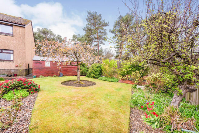 Side Garden