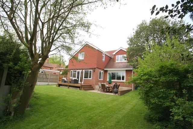 Rear Elevation