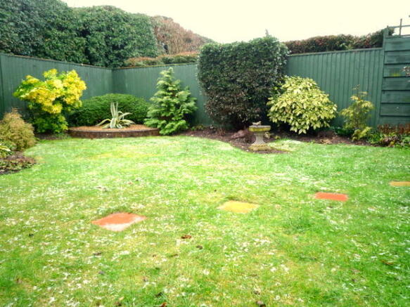 Photo 4