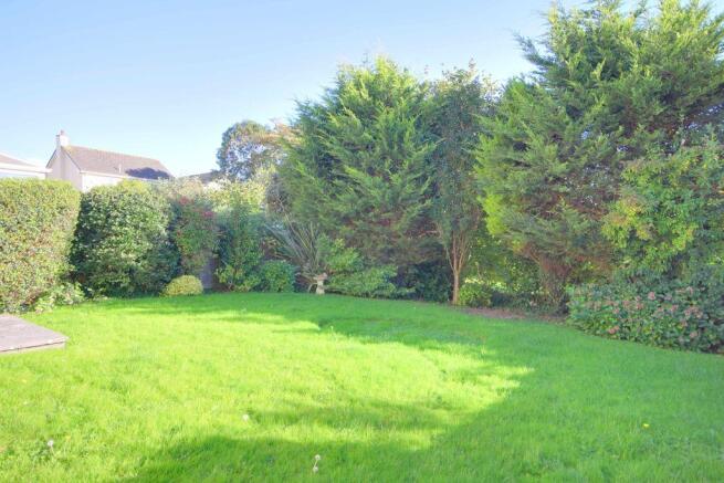 Garden at Back