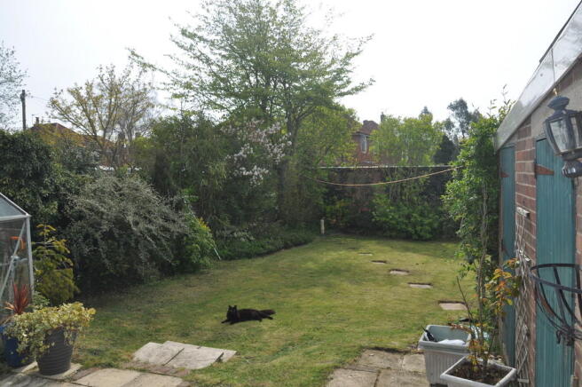 Photo 10