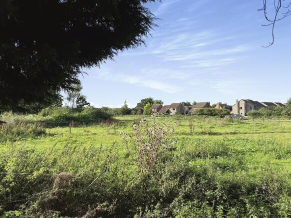 Field Views