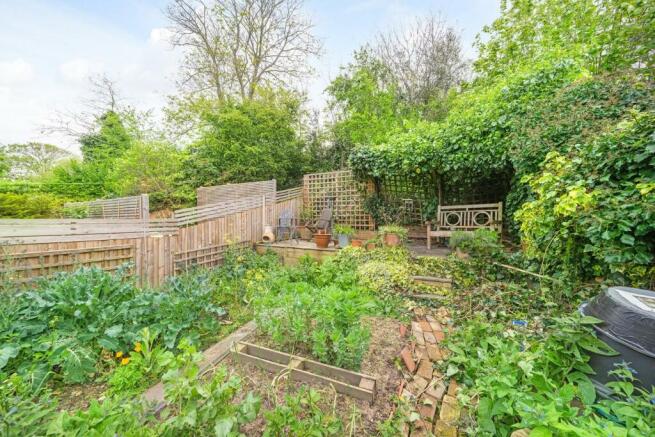 Garden (2).jpg