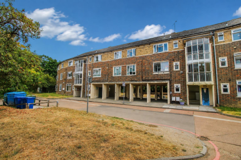 Great Plumtree, Harlow