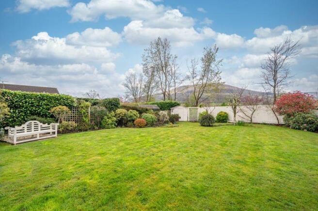 Garden and View