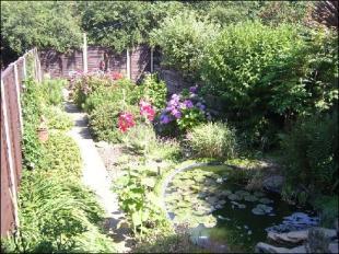Photo 5