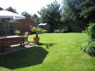 Garden 1