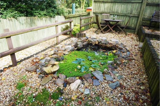 Pond