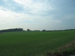 View2